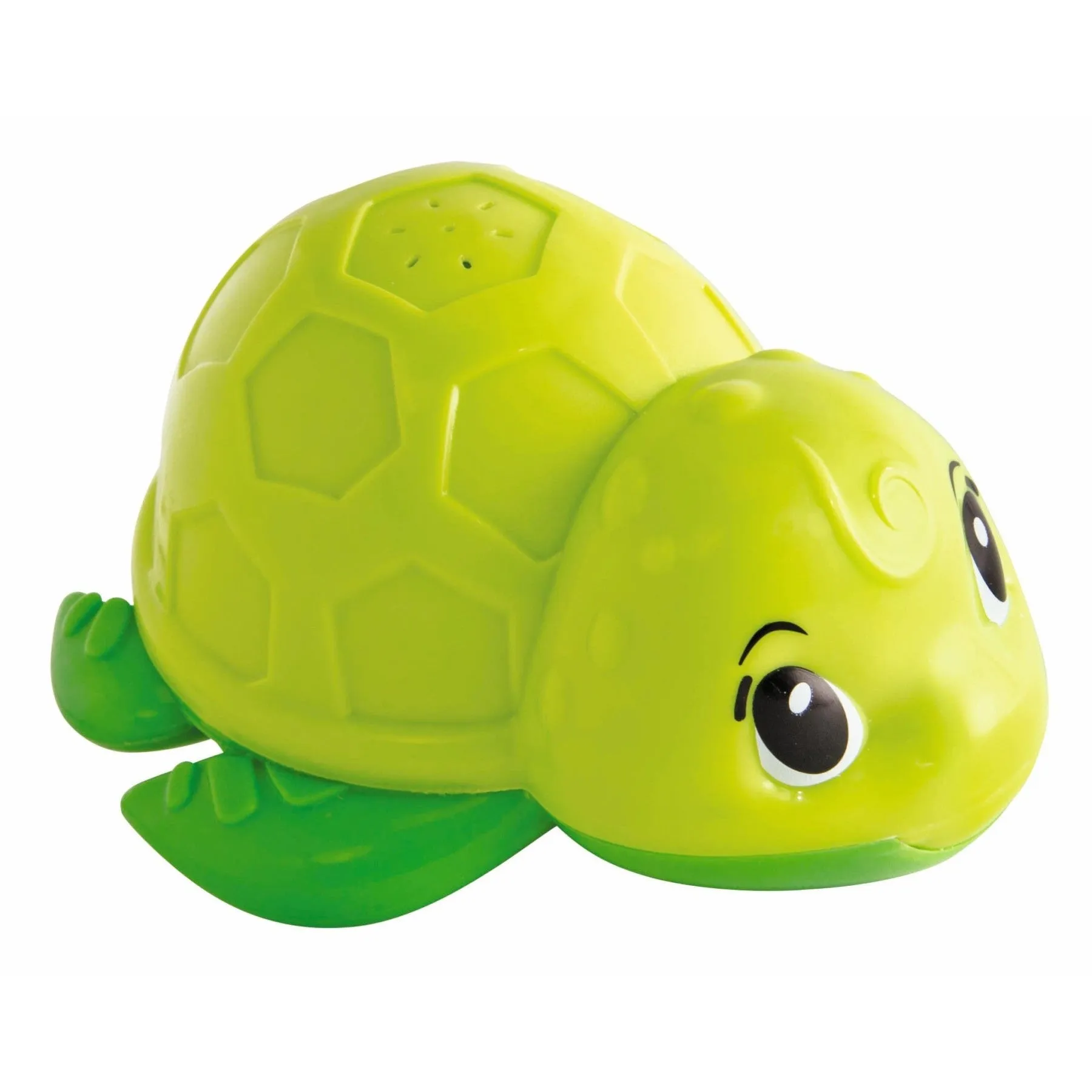ABC Bathing Turtle
