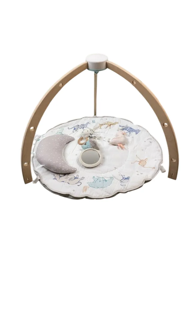 Aden   Anais Play   Discover Baby Activity Gym, Rising Star