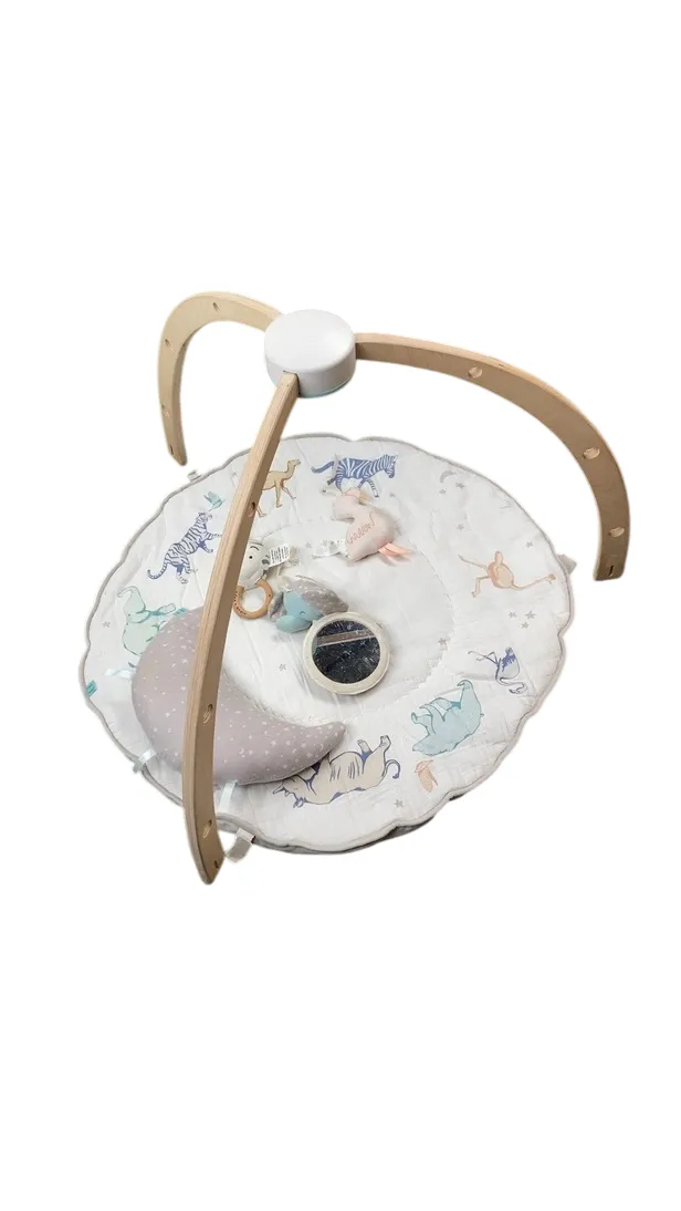 Aden   Anais Play   Discover Baby Activity Gym, Rising Star