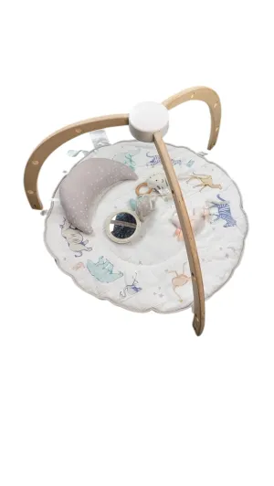 Aden   Anais Play   Discover Baby Activity Gym, Rising Star
