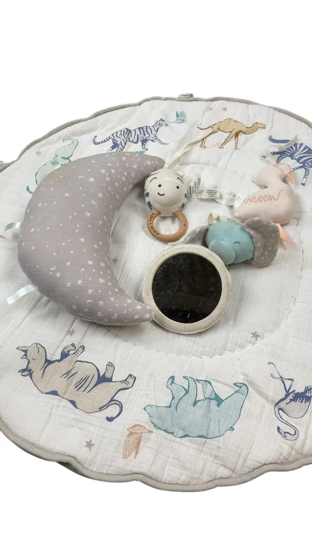 Aden   Anais Play   Discover Baby Activity Gym, Rising Star