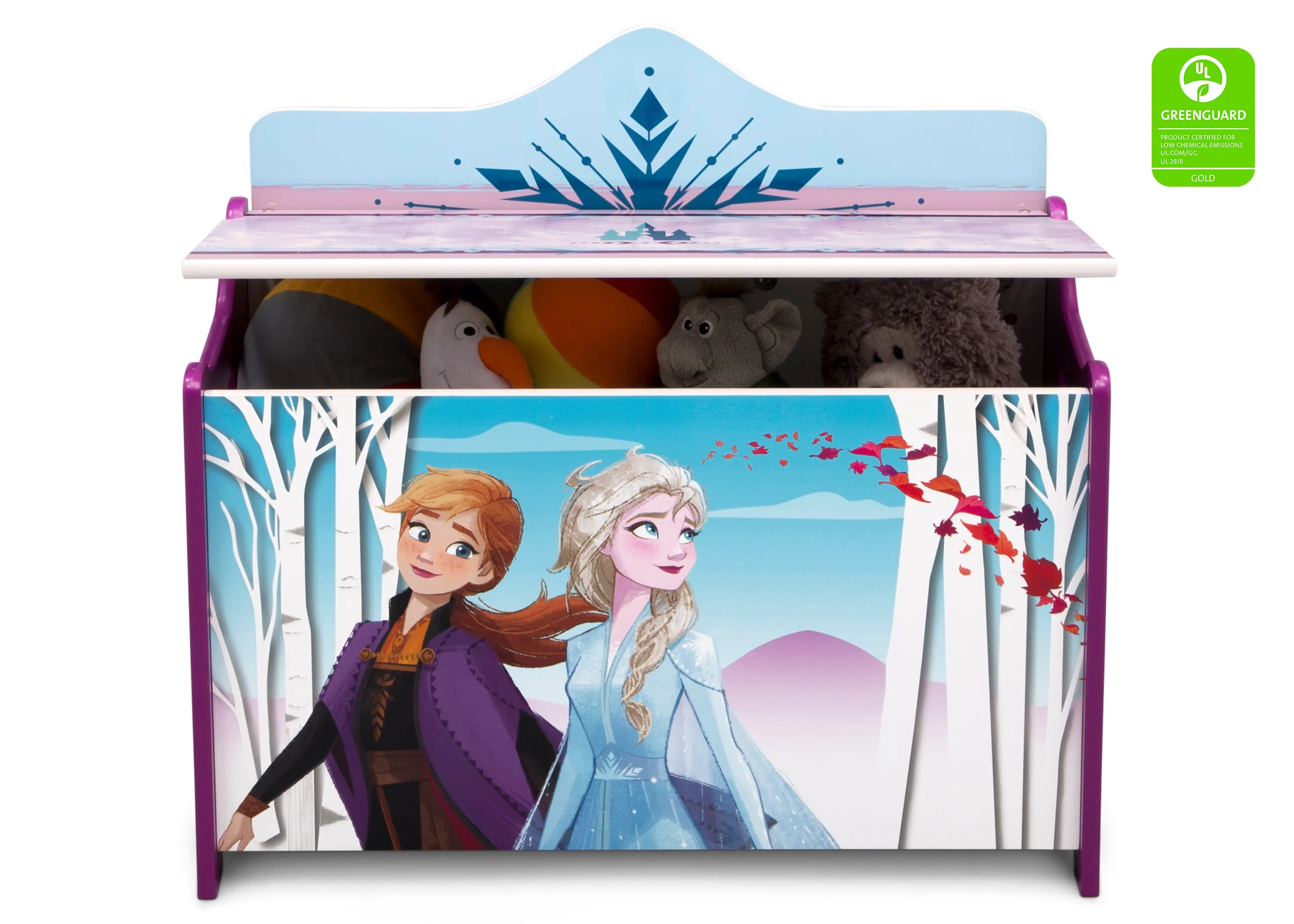 Frozen II Deluxe Toy Box