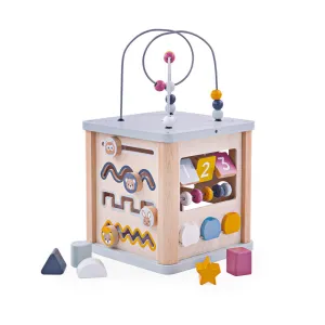 FSC® Certified Activity Cube