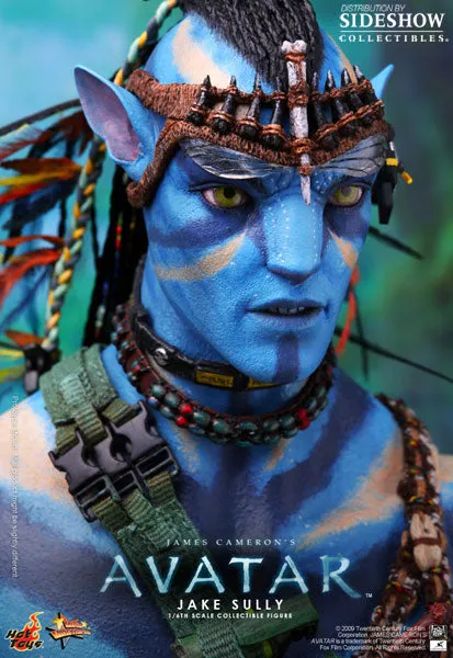 Hot Toys Jake Sully Sixth Scale Avatar Figure MMS159