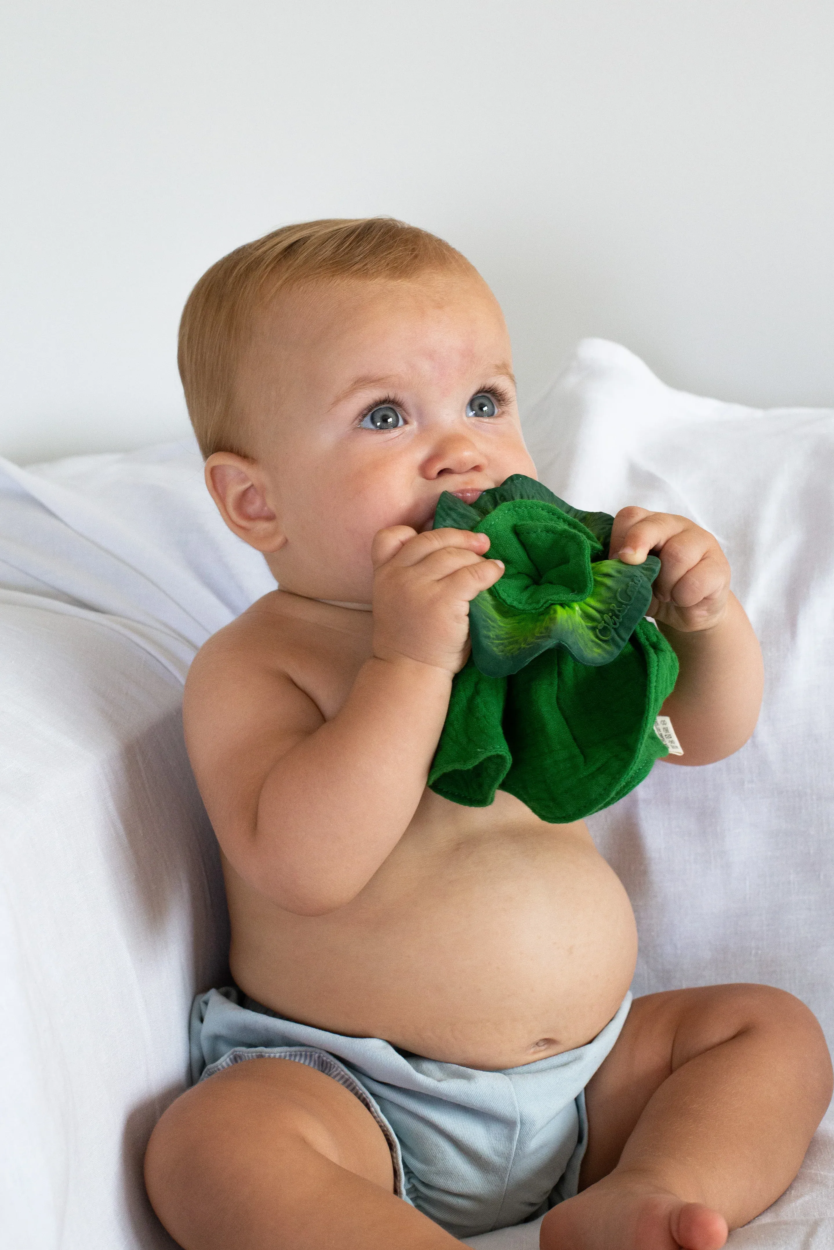 Kendall the Kale Mini DouDou Teether