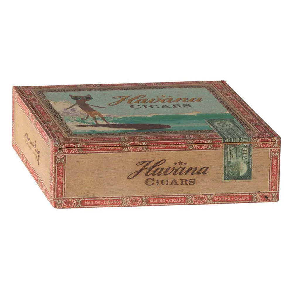 Mum and Dad Mice in Cigar Box