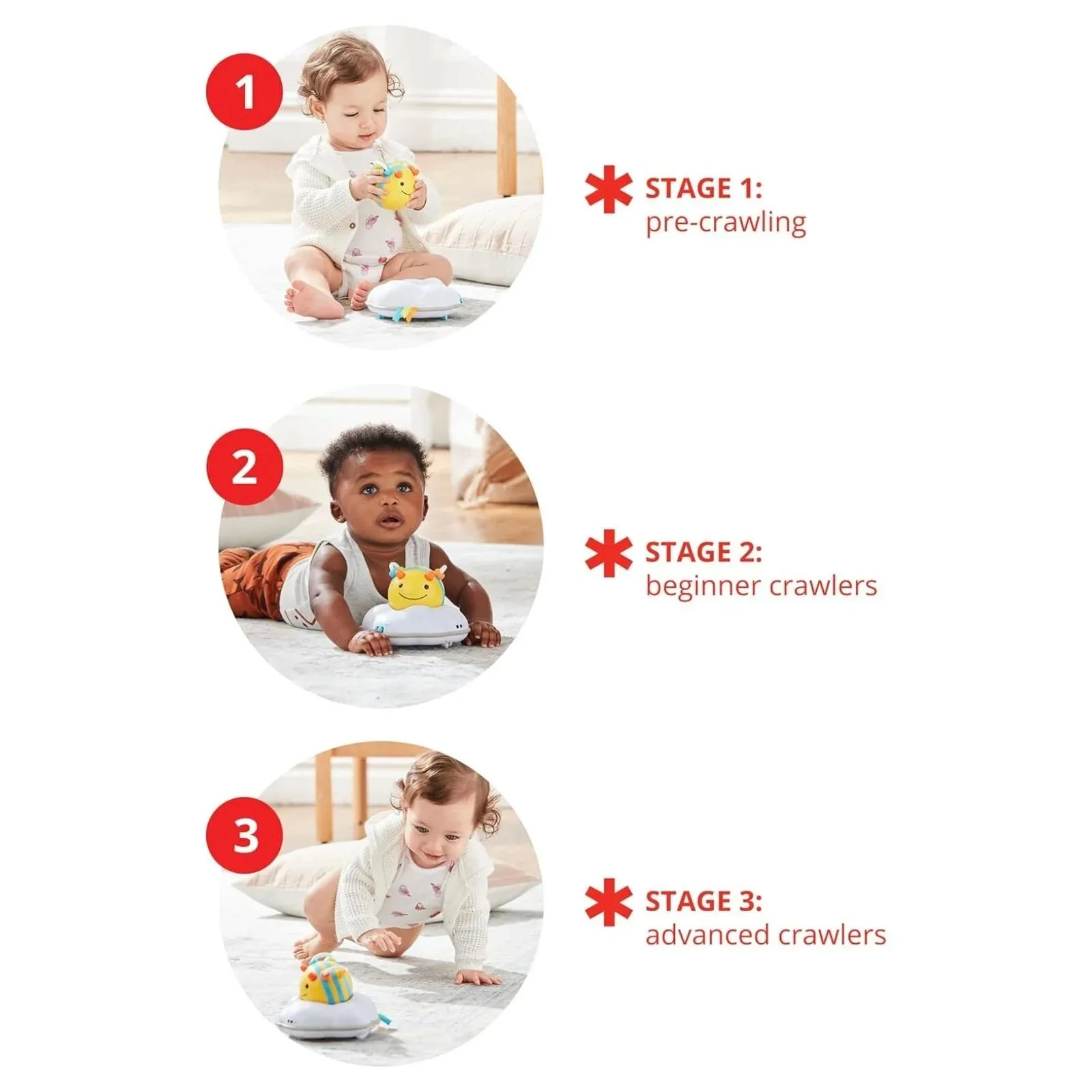 Skip Hop Explore & More Follow - Bee Crawl Toy